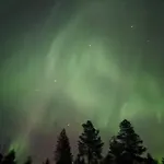 Kuukkeli Paritalossa *