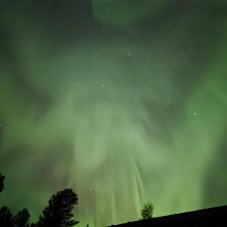 Kuukkeli Paritalossa
