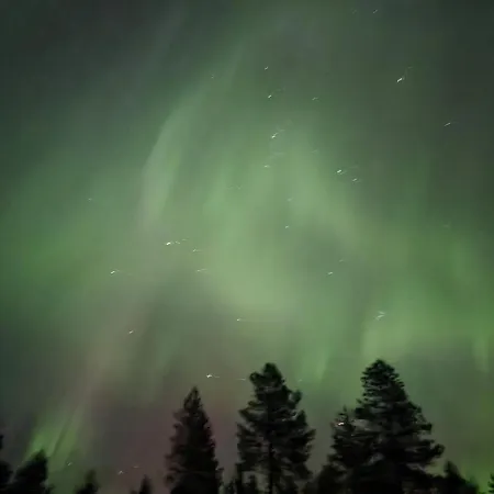 Kuukkeli Paritalossa *