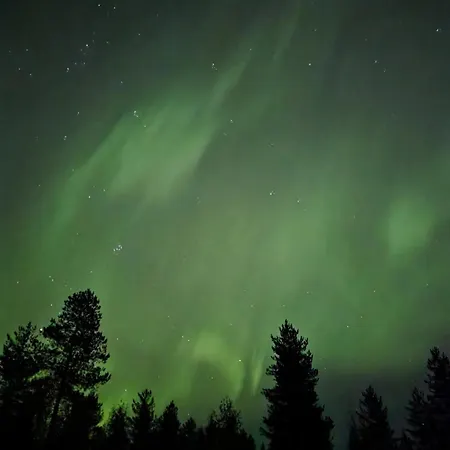 Kuukkeli Paritalossa *