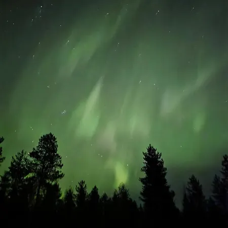 Kuukkeli Paritalossa Sotkamo