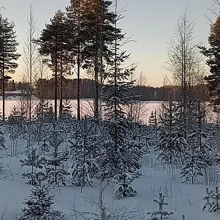 Kuukkeli Paritalossa *