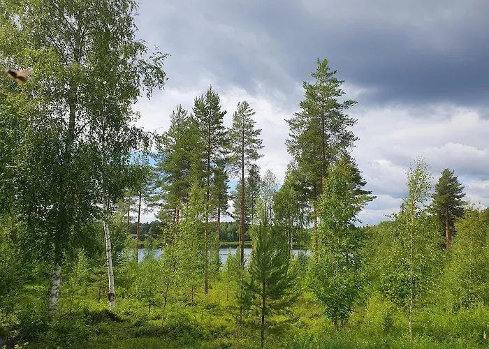 Kuukkeli Paritalossa Sotkamo