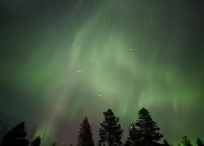 Kuukkeli Paritalossa *