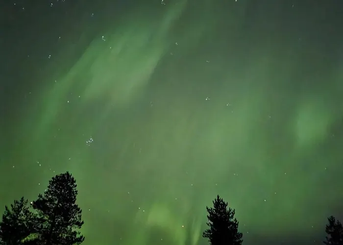 Kuukkeli Paritalossa *