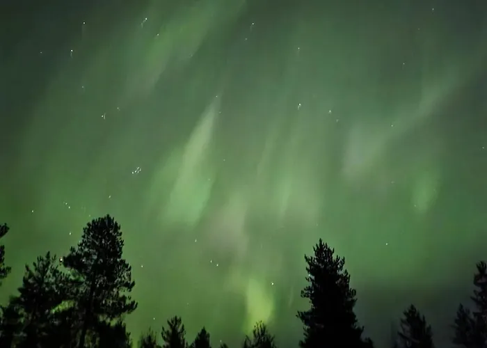 Kuukkeli Paritalossa 索特卡莫