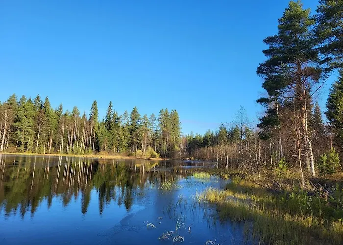 Kuukkeli Paritalossa