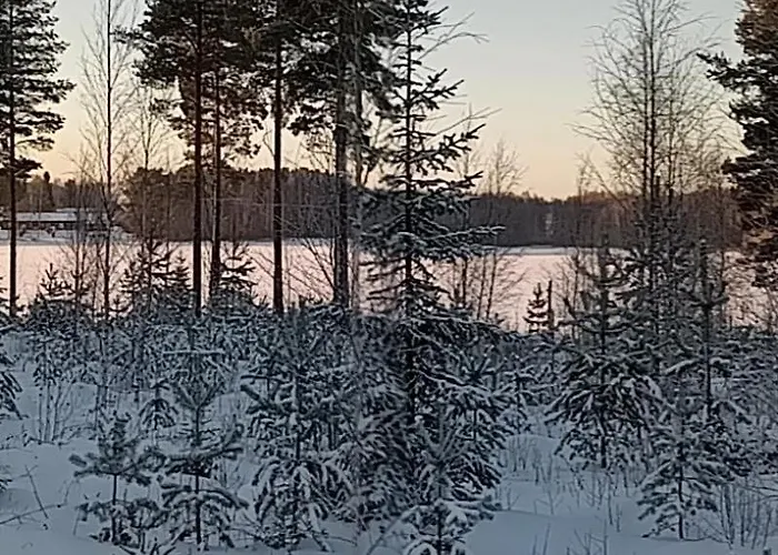 Kuukkeli Paritalossa *